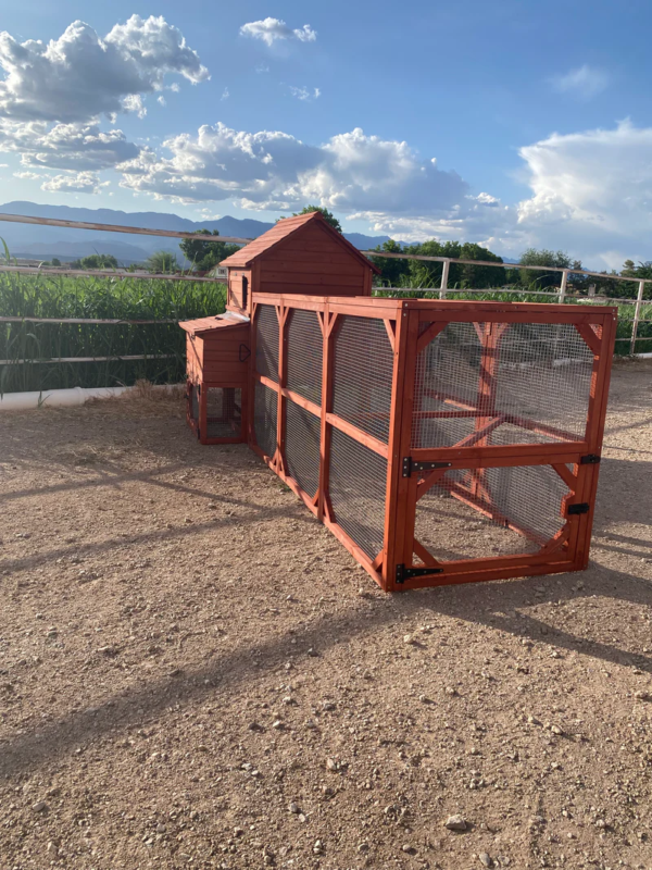 Chicken Coop for 6+ Chickens – Orpington Lodge (Hen House Only) - Image 6