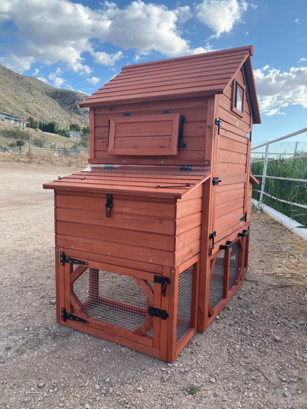 Chicken Coop for 6+ Chickens – Orpington Lodge (Hen House Only) - Image 8